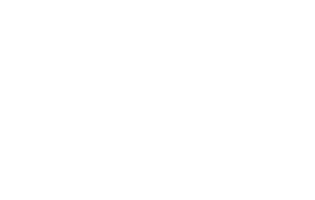 Applied Common Sense Logo